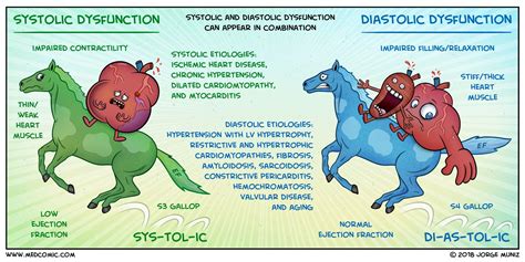 systolic dysfunction vs diastolic.